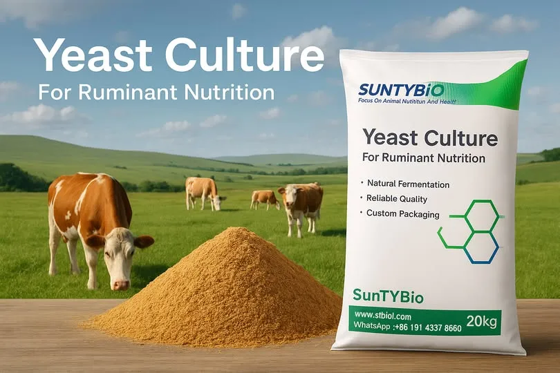  خميرة SunTYBio (Saccharomyces cerevisiae) – إضافة علفية للأبقار والأغنام – بيتا جلوكان وMOS صورة أعلان 