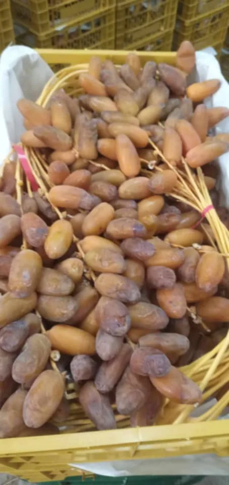 تمور جزائرية صورة أعلان 
