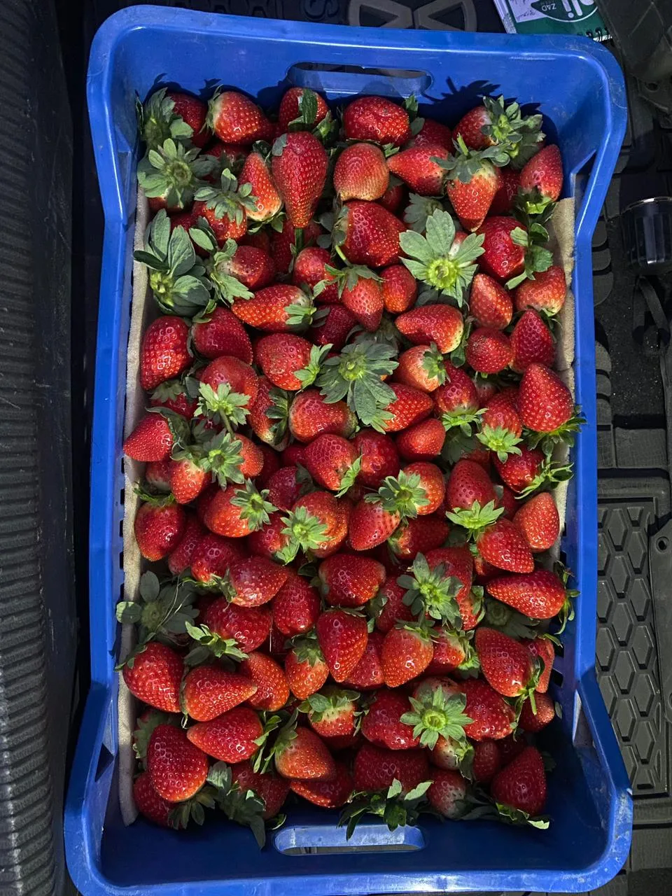 Fresh Strawberry ad photo