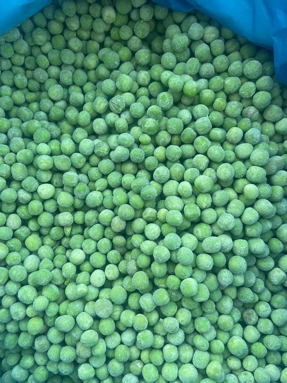 Frozen peas ad photo