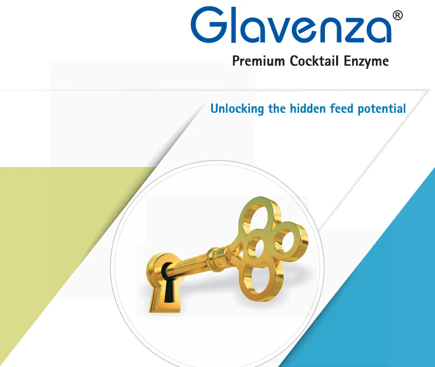 Glavenza XP 240 - Premium Protein-optimizing enzyme (protease) ad photo